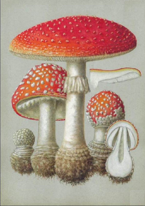 Ilustrační obrázek článku - Domácí úkol z ČP - 6. ročník - ATLAS HUB