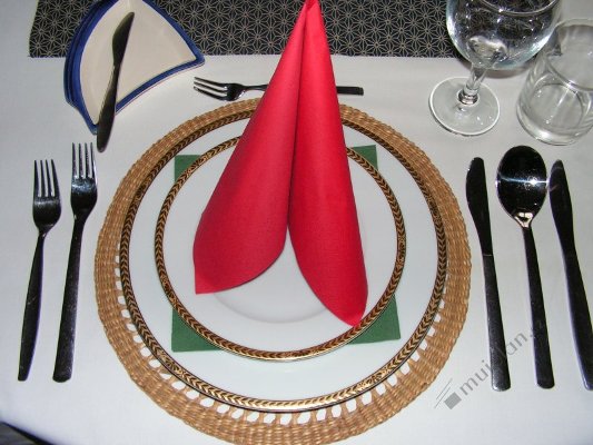 Ilustrační obrázek článku - Naše PROSTŘENO aneb správné stolování a servírování pokrmů ve III.B