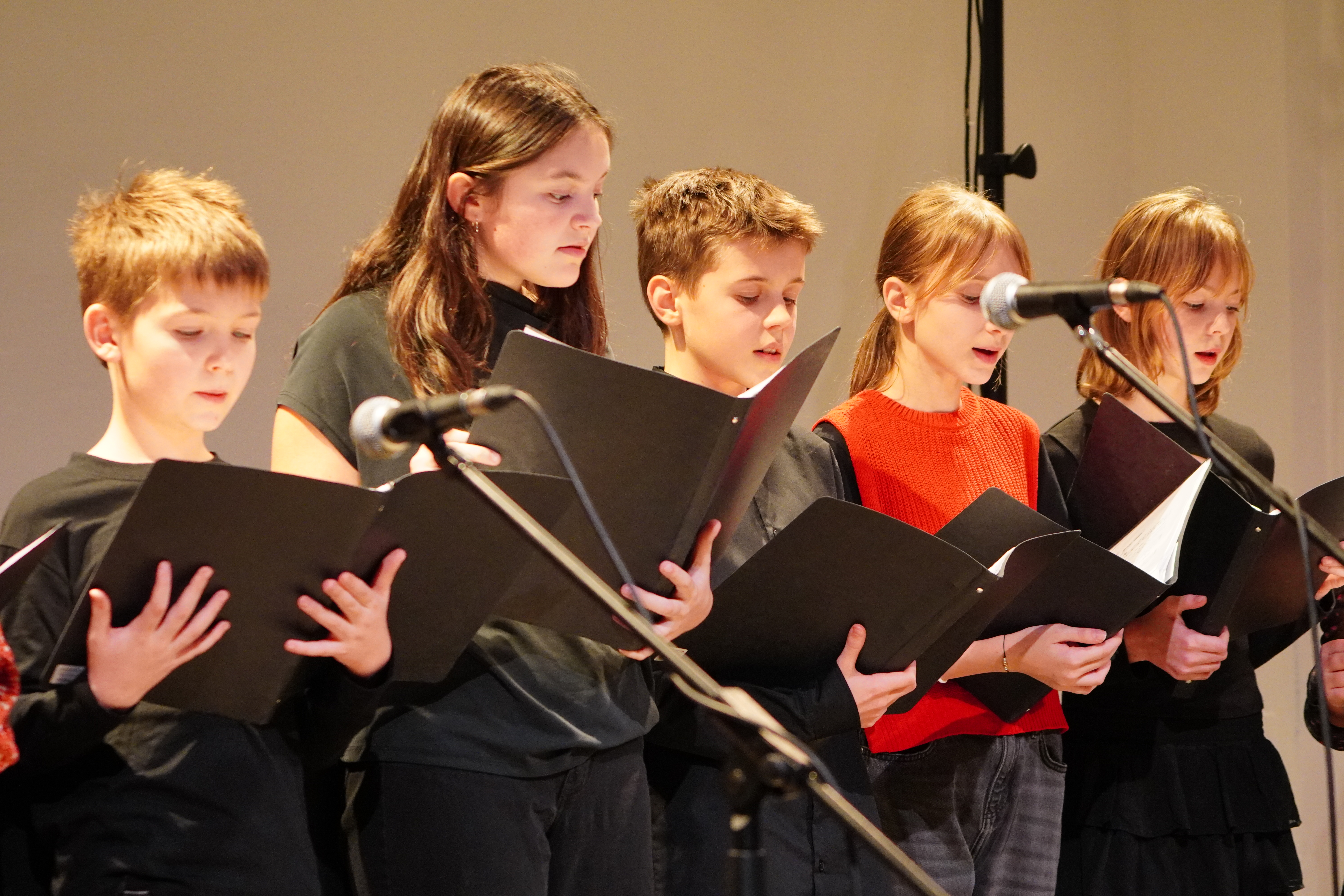 Ilustrační obrázek článku - Vánoční koncert 122025