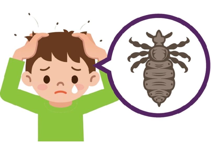 Ilustrační obrázek článku - Vešky v V.B